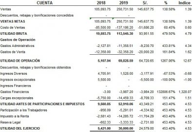 [Plantilla] Estado de Resultados o Balance General - Características y ...